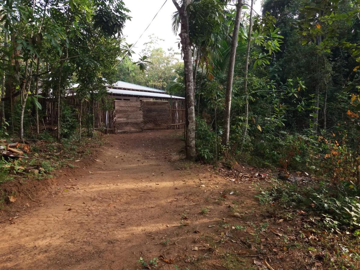 Cashew Villa Hiriketiya Dickwella Zewnętrze zdjęcie