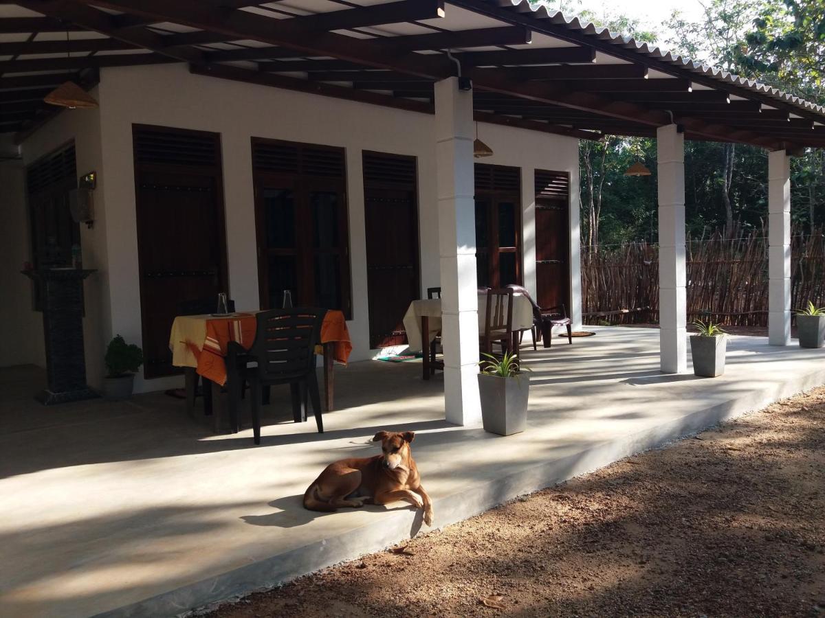 Cashew Villa Hiriketiya Dickwella Zewnętrze zdjęcie
