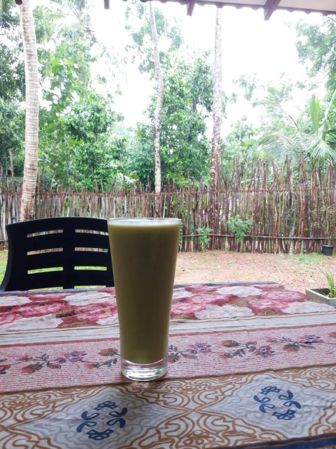 Cashew Villa Hiriketiya Dickwella Zewnętrze zdjęcie