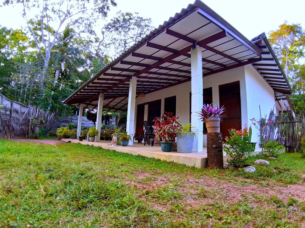 Cashew Villa Hiriketiya Dickwella Zewnętrze zdjęcie